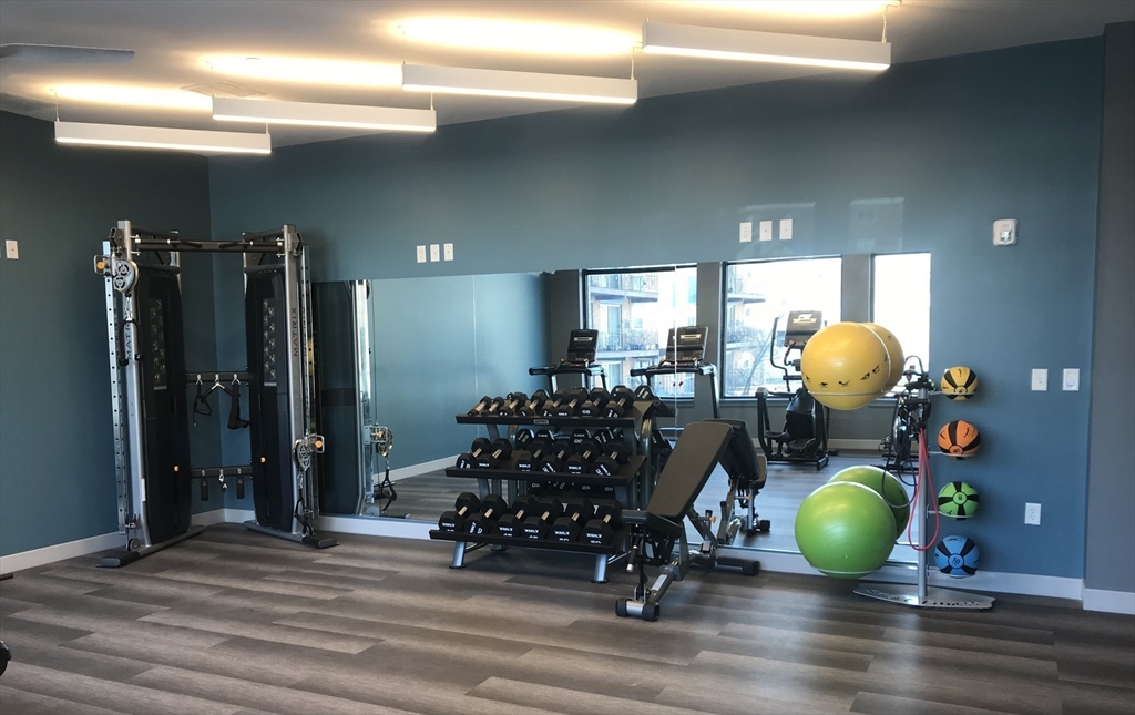 466 River Street, Unit 217 Boston, MA 02126 - Photo 10 of 18