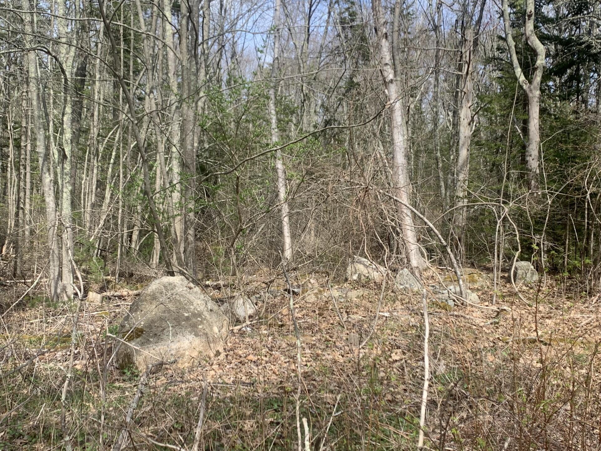 52 Old Cape Road Kennebunkport, ME 04046 - Photo 6 of 14 Back Yard Rocks