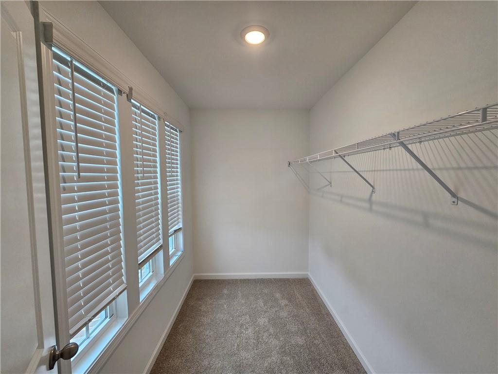 30 Everly Way Bethlehem, GA 30620 - Photo 33 of 56