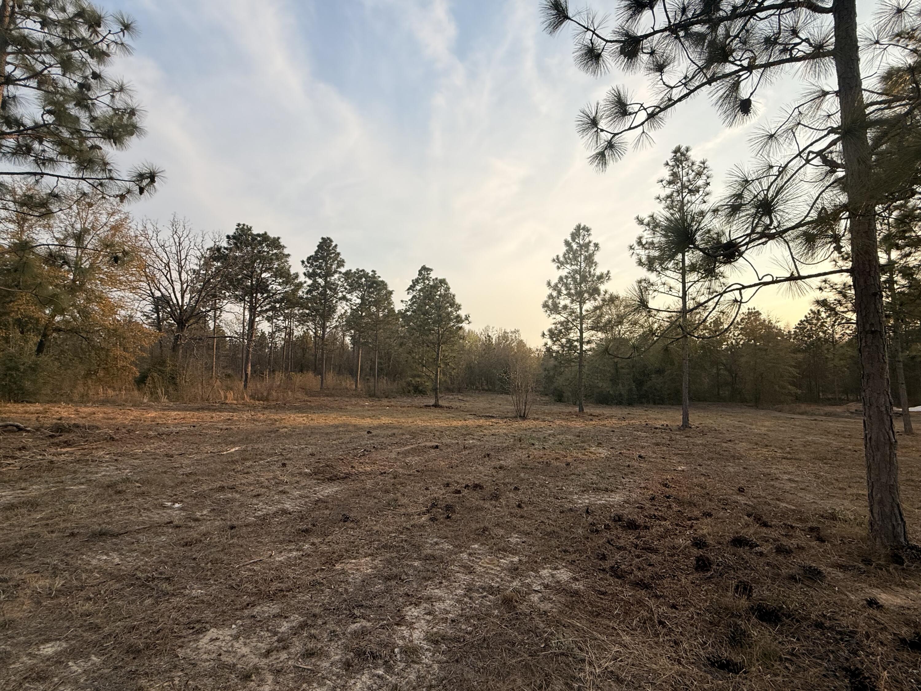 734 State Park Road Windsor, SC 29856 - Photo 7 of 12