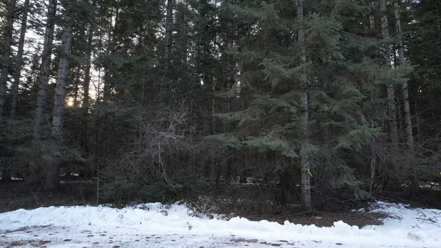 $64,000 | Nka Riverbend Court, Cusick, WA 99119