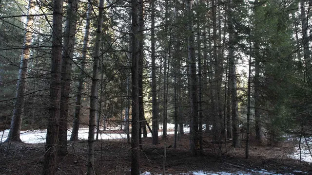 $64,000 | Nka Riverbend Court, Cusick, WA 99119