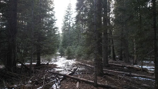 $64,000 | Nka Riverbend Court, Cusick, WA 99119