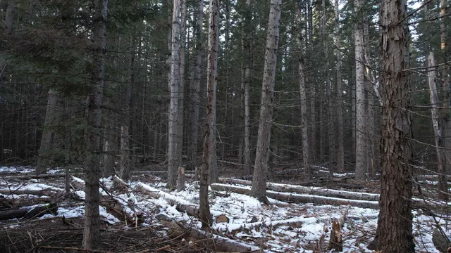 $64,000 | Nka Riverbend Court, Cusick, WA 99119