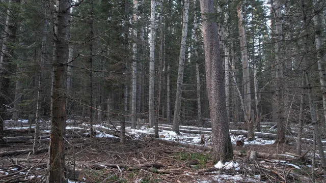 $64,000 | Nka Riverbend Court, Cusick, WA 99119