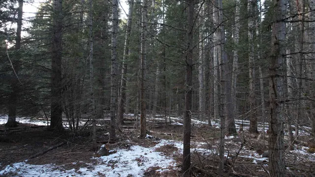 $64,000 | Nka Riverbend Court, Cusick, WA 99119