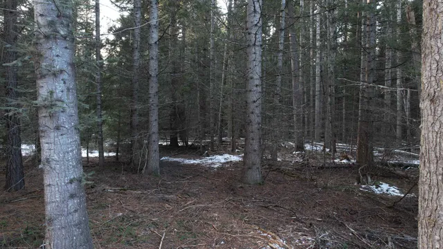 $64,000 | Nka Riverbend Court, Cusick, WA 99119