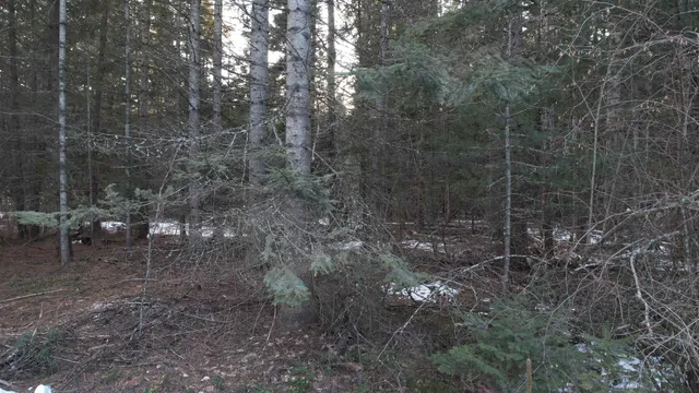 $64,000 | Nka Riverbend Court, Cusick, WA 99119