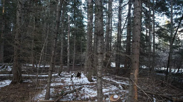 $64,000 | Nka Riverbend Court, Cusick, WA 99119