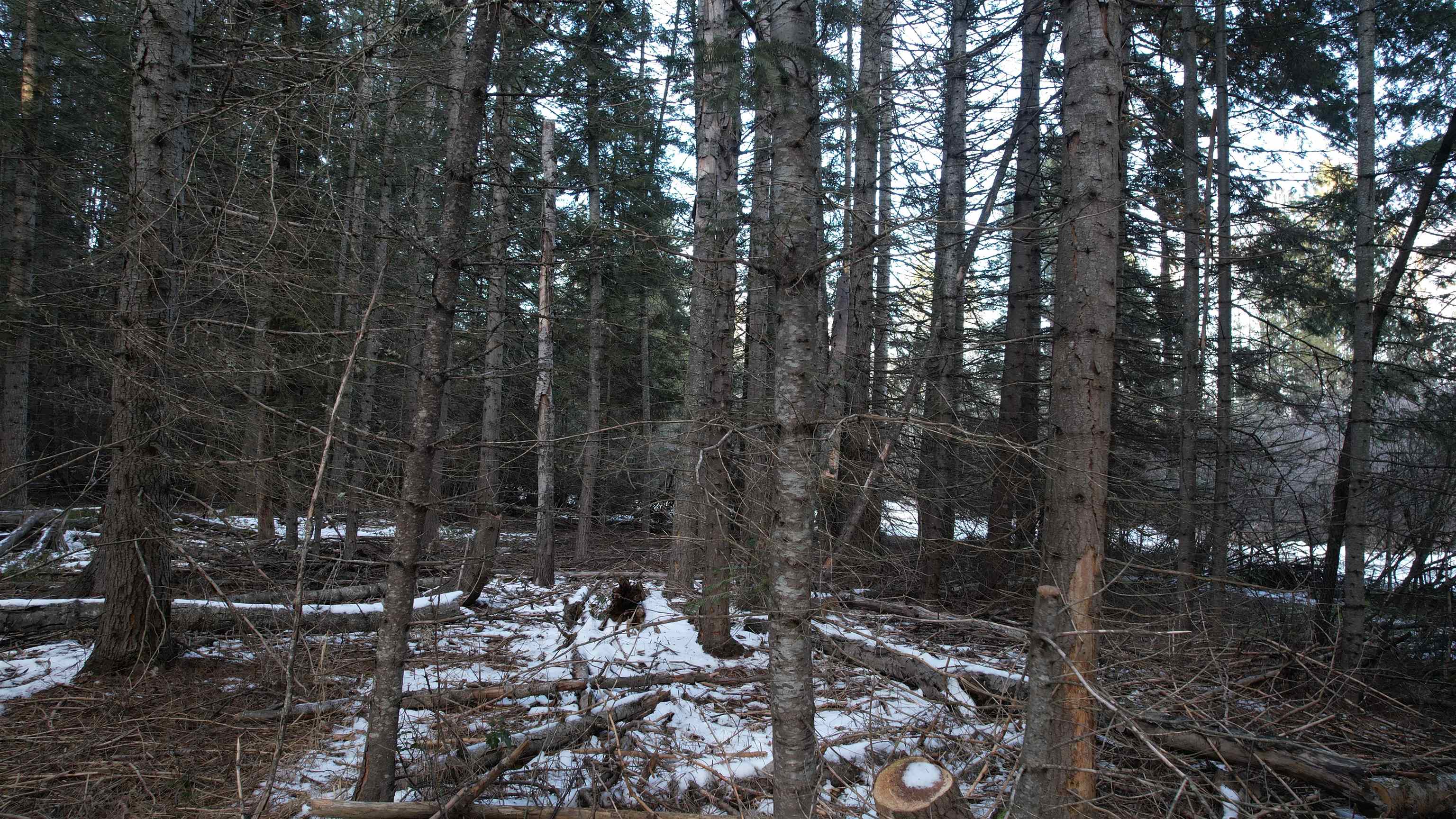 Nka Riverbend Court Cusick, WA 99119 - Photo 5 of 24