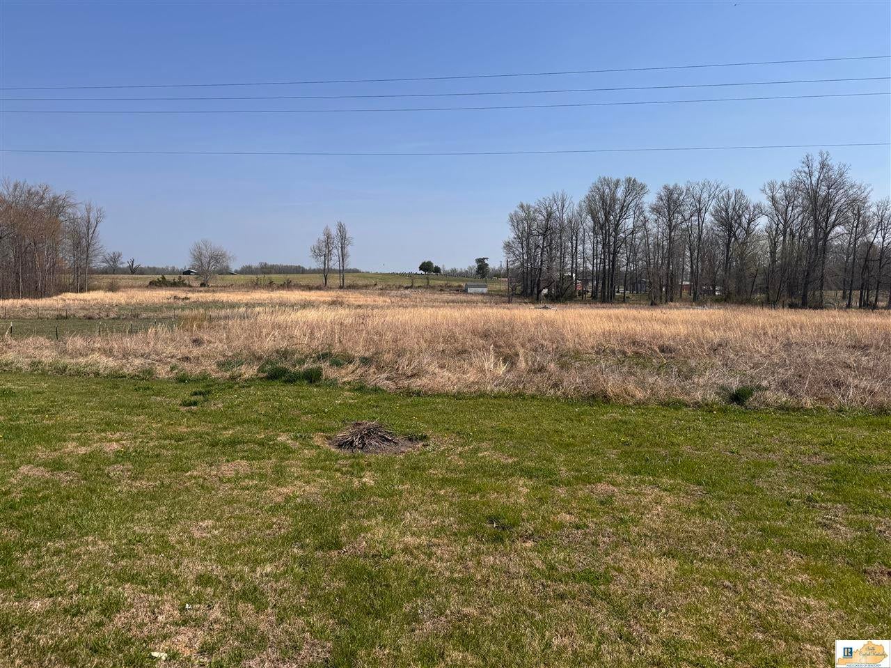 150 Center 3 Springs Road Center, KY 42214 - Photo 7 of 21 Gallery Image 7