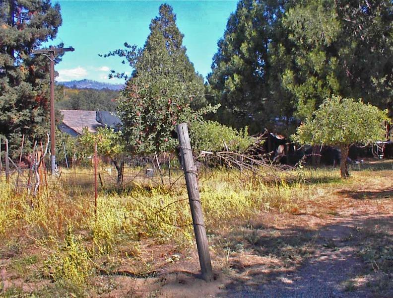 46995 Dunlap Road Miramonte, CA 93641 - Photo 2 of 66 Gallery Image 2