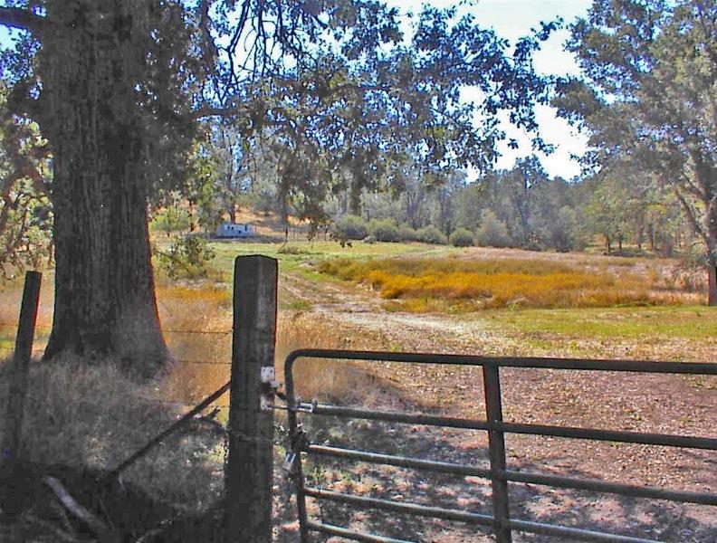 46995 Dunlap Road Miramonte, CA 93641 - Photo 21 of 66 Gallery Image 21