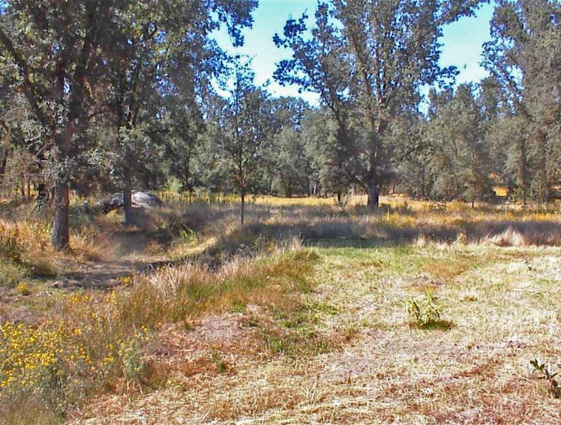 46995 Dunlap Road Miramonte, CA 93641 - Photo 23 of 66 Gallery Image 23