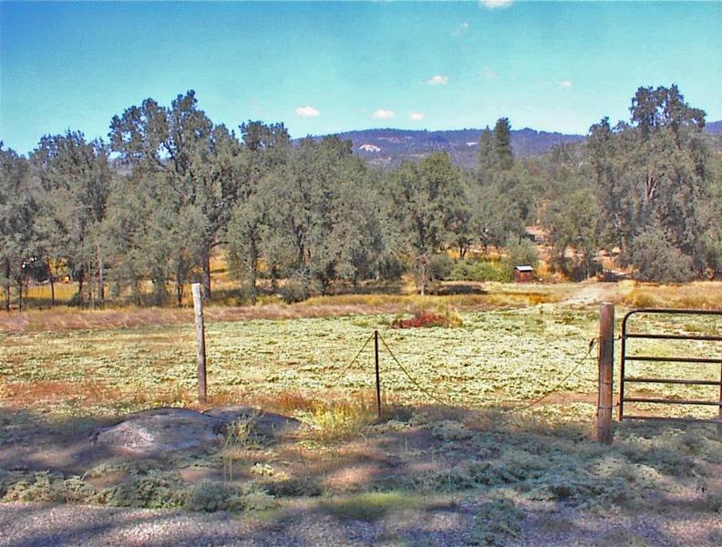 46995 Dunlap Road Miramonte, CA 93641 - Photo 25 of 66 Gallery Image 25