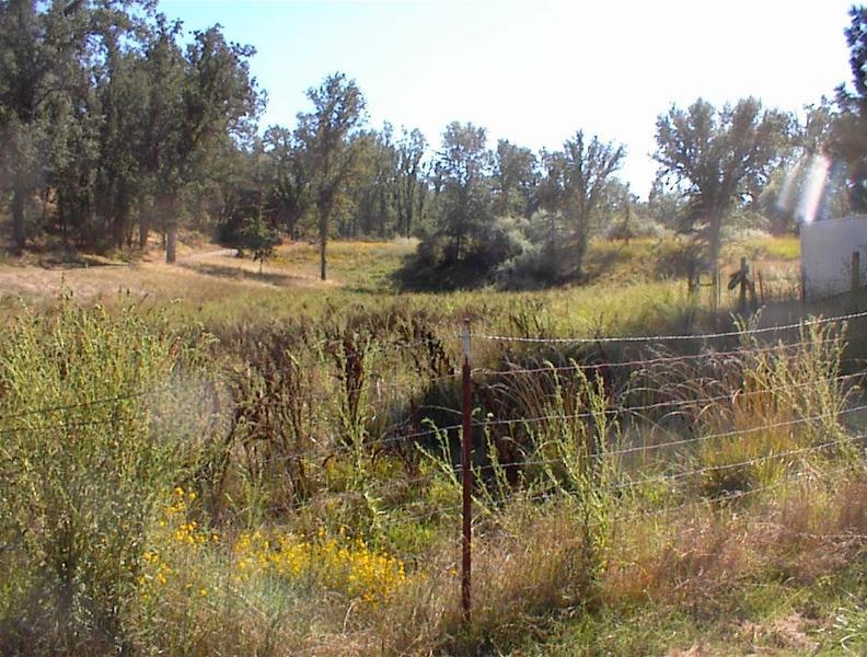 46995 Dunlap Road Miramonte, CA 93641 - Photo 27 of 66 Gallery Image 27