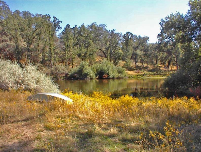 46995 Dunlap Road Miramonte, CA 93641 - Photo 28 of 66 Gallery Image 28