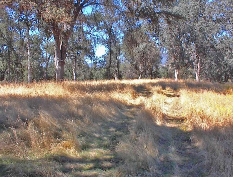 46995 Dunlap Road Miramonte, CA 93641 - Photo 30 of 66 Gallery Image 30