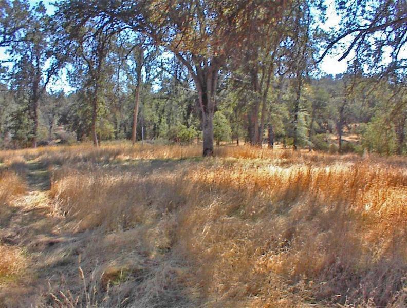 46995 Dunlap Road Miramonte, CA 93641 - Photo 31 of 66 Gallery Image 31