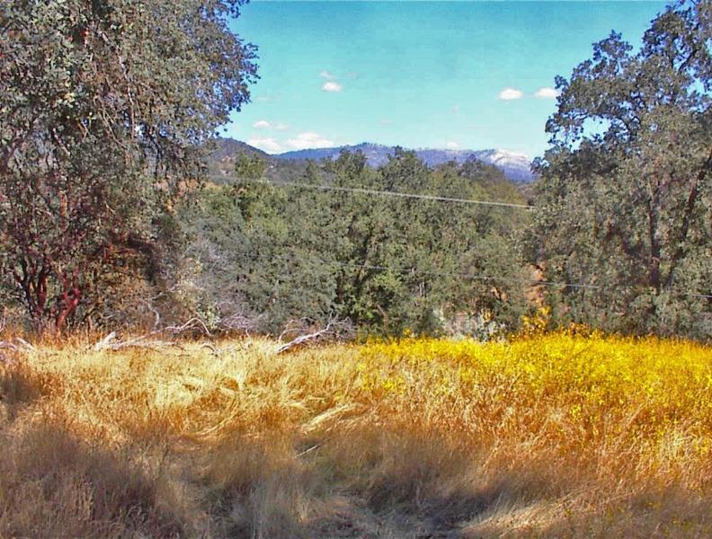 46995 Dunlap Road Miramonte, CA 93641 - Photo 32 of 66 Gallery Image 32