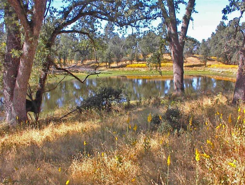 46995 Dunlap Road Miramonte, CA 93641 - Photo 33 of 66 Gallery Image 33