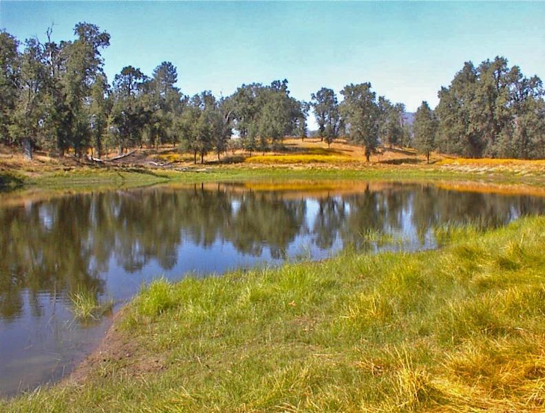 46995 Dunlap Road Miramonte, CA 93641 - Photo 35 of 66 Gallery Image 35