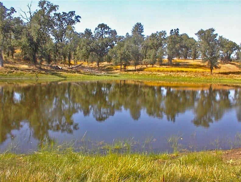 46995 Dunlap Road Miramonte, CA 93641 - Photo 36 of 66 Gallery Image 36