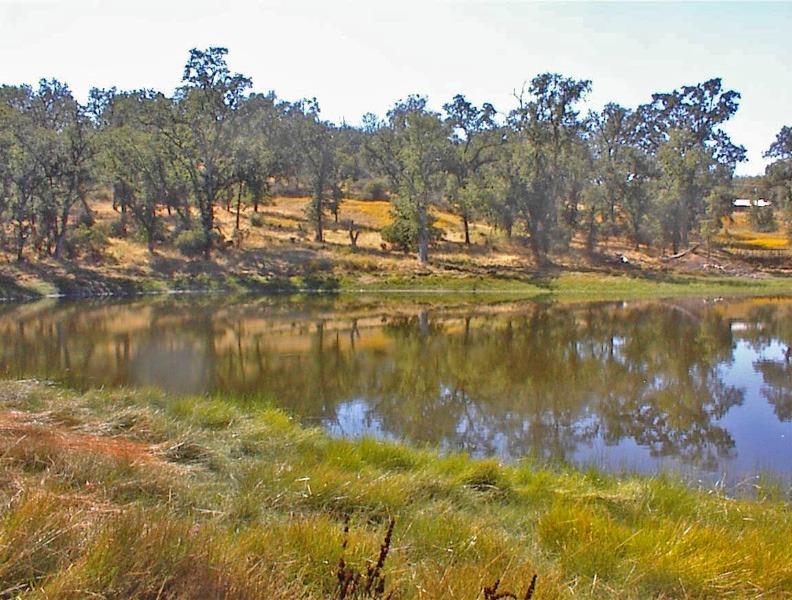 46995 Dunlap Road Miramonte, CA 93641 - Photo 37 of 66 Gallery Image 37