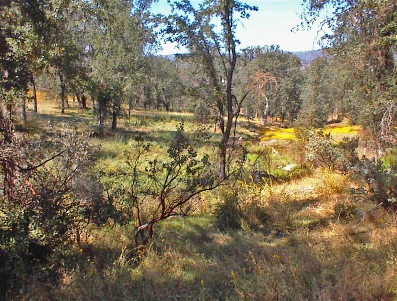 46995 Dunlap Road Miramonte, CA 93641 - Photo 41 of 66 Gallery Image 41