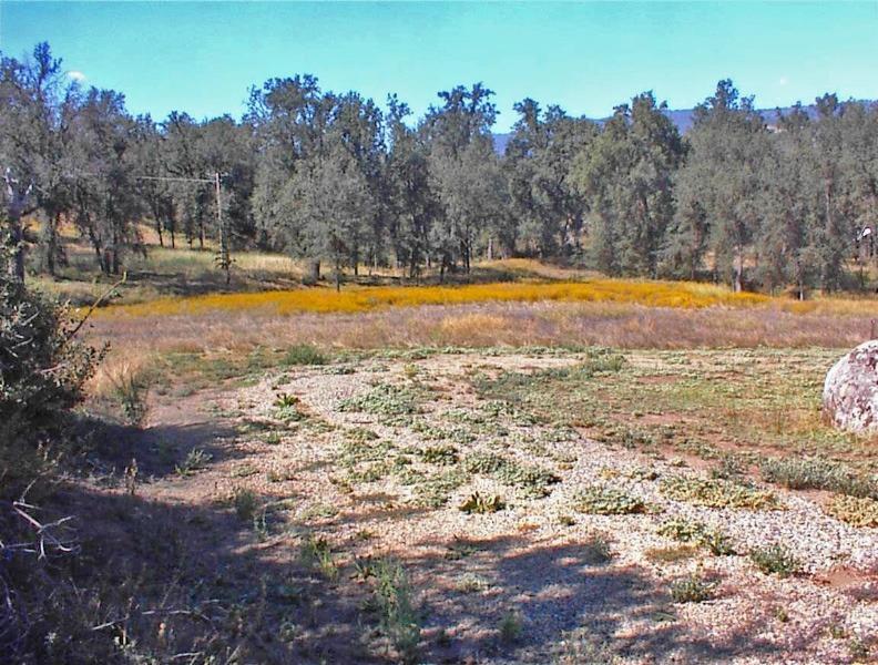 46995 Dunlap Road Miramonte, CA 93641 - Photo 45 of 66 Gallery Image 45