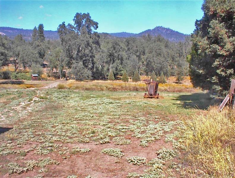 46995 Dunlap Road Miramonte, CA 93641 - Photo 47 of 66 Gallery Image 47