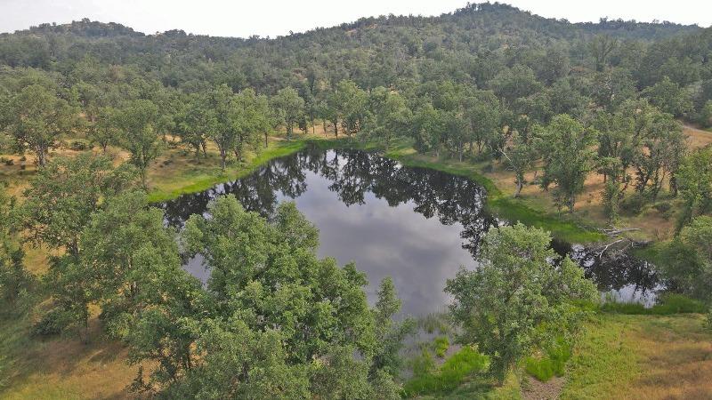 46995 Dunlap Road Miramonte, CA 93641 - Photo 49 of 66 Gallery Image 49