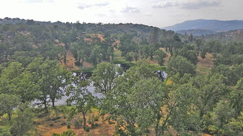 46995 Dunlap Road Miramonte, CA 93641 - Photo 52 of 66 Gallery Image 52