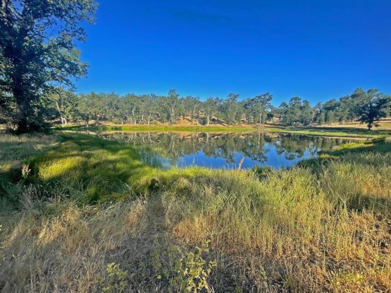 46995 Dunlap Road Miramonte, CA 93641 - Photo 60 of 66 Gallery Image 60