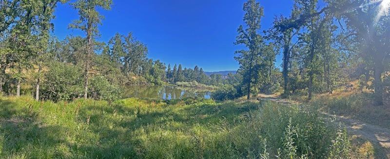 46995 Dunlap Road Miramonte, CA 93641 - Photo 63 of 66 Gallery Image 63