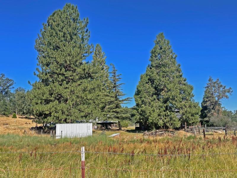 46995 Dunlap Road Miramonte, CA 93641 - Photo 66 of 66 Gallery Image 66