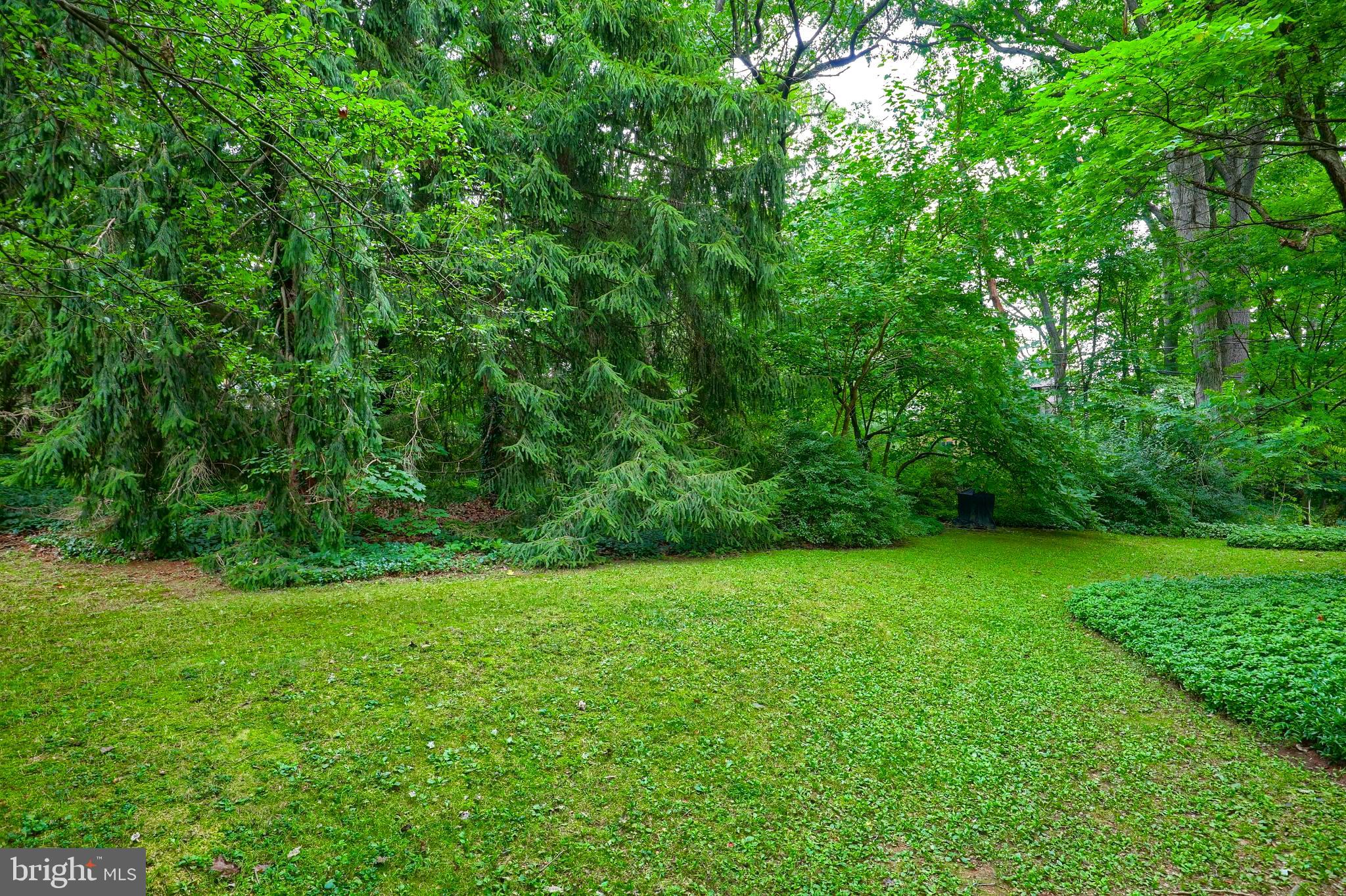 990 Corvair Road Lancaster, PA 17601 - Photo 5 of 36 Rear Yard