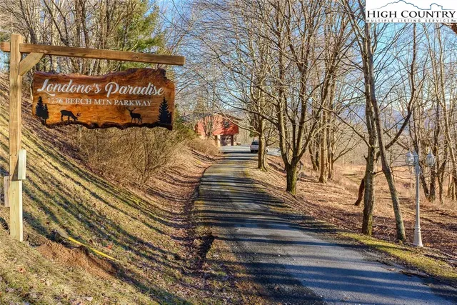 a view of a bench in a yard
