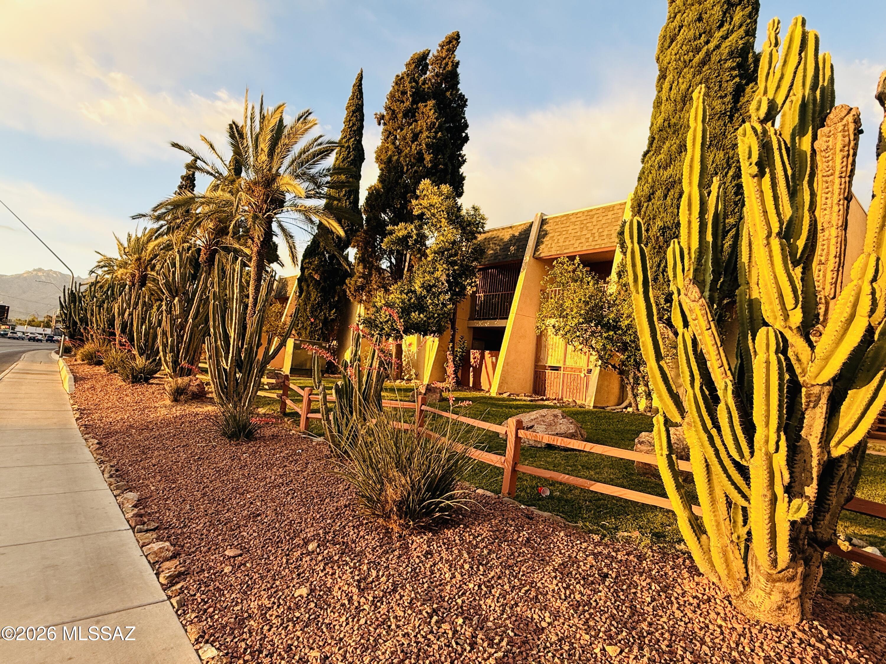 1600 North Wilmot Road, Unit 236 Tucson, AZ 85712 - Photo 30 of 31