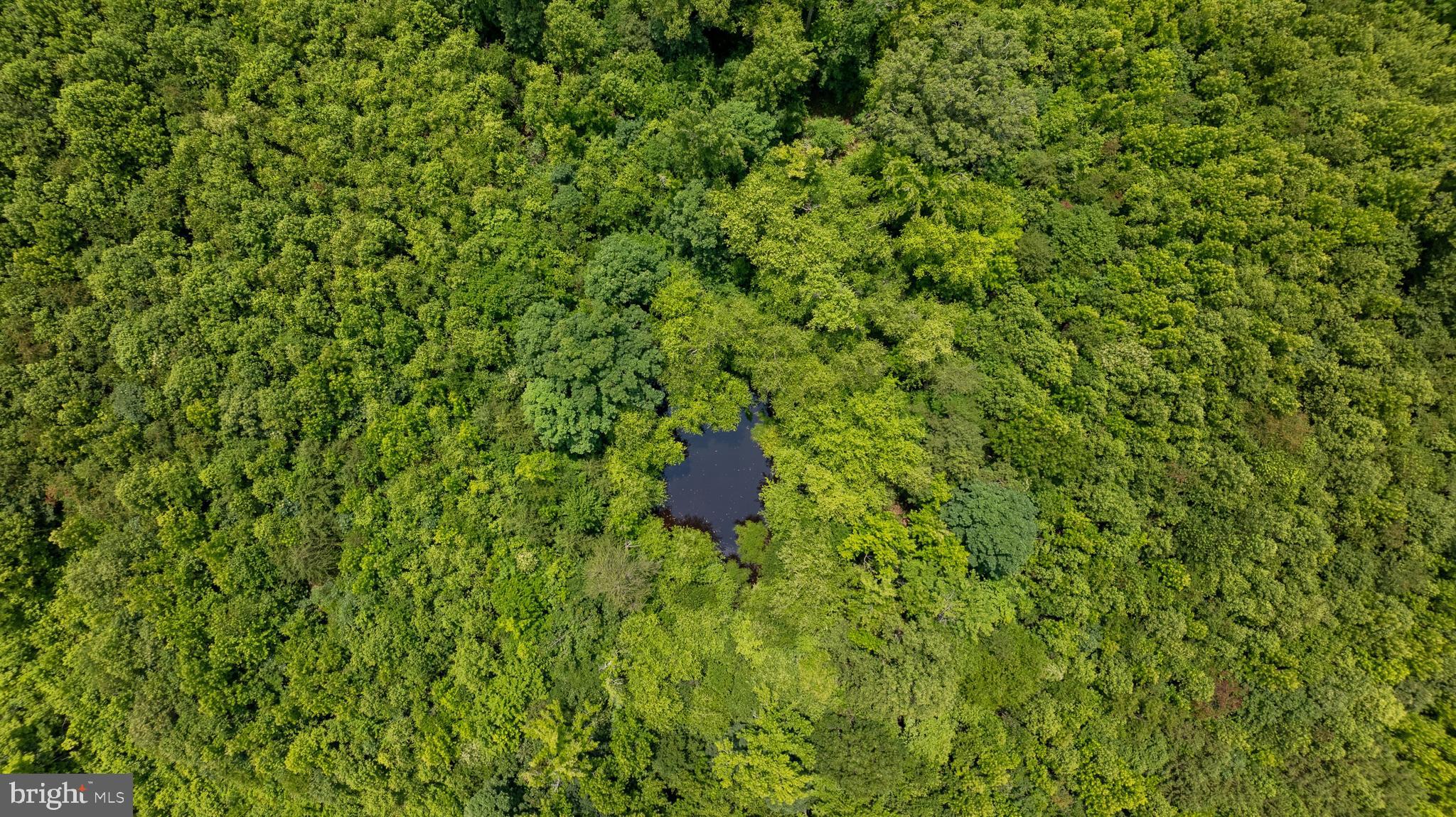 Tbd Piney Grove Road, Unit 21 Alton, VA 24520 - Photo 1 of 19