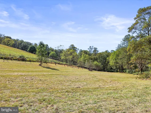 a view of a forest with an outdoor space
