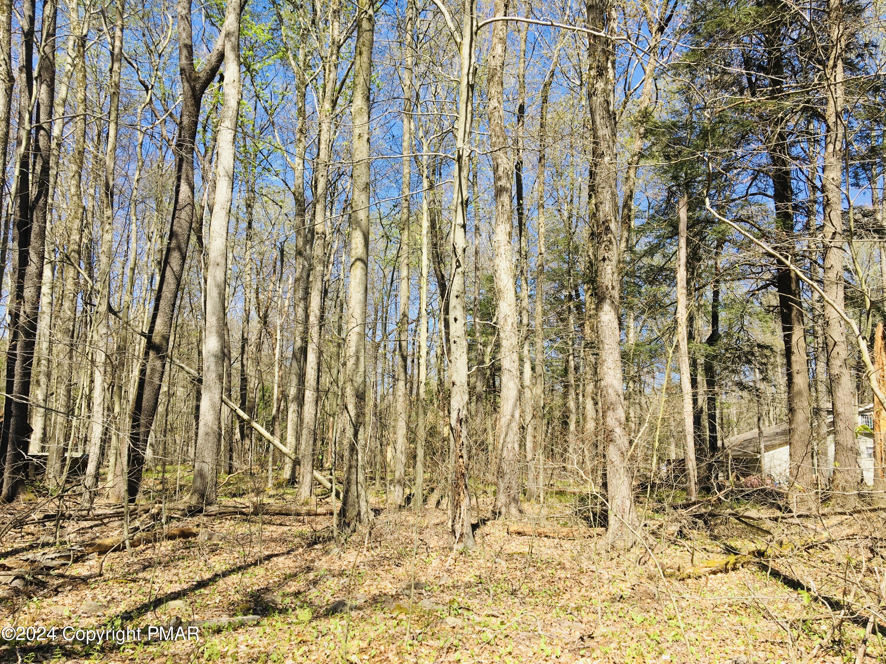 Lot 7-8 Sweet Briar Road Pocono Pines, PA 18350 - Photo 1 of 11 a view of a entryway with a yard