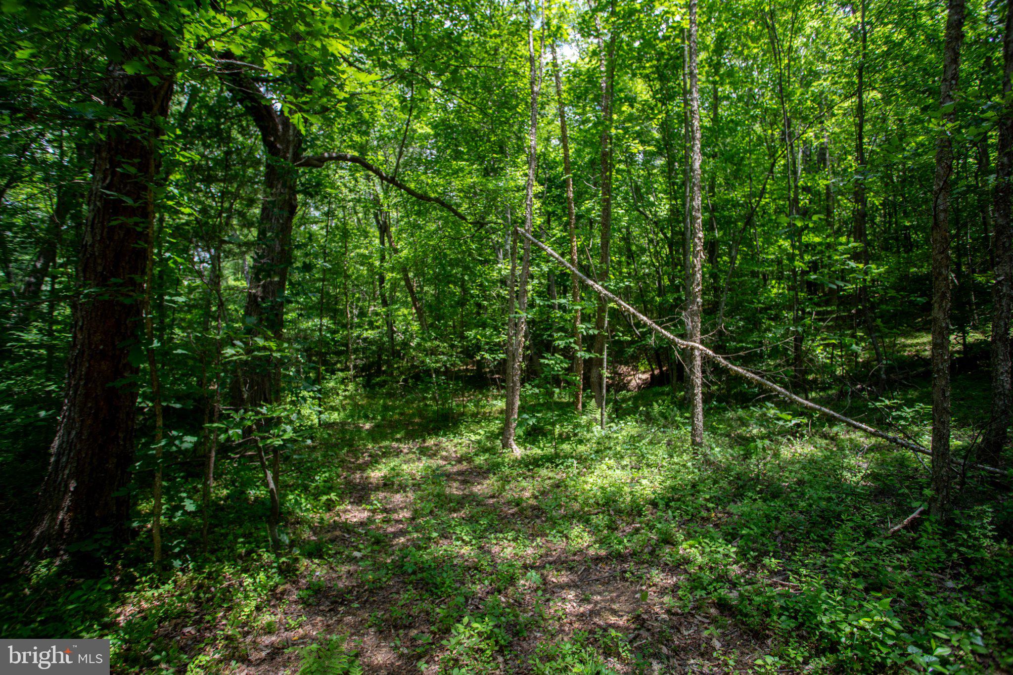 Tbd Brandon Road, Unit 4 Chatham, VA 24531 - Photo 22 of 31 Gallery Image 22
