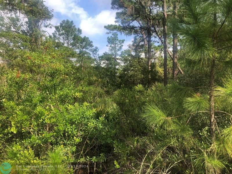 0 Xeriscape Nursery Rd