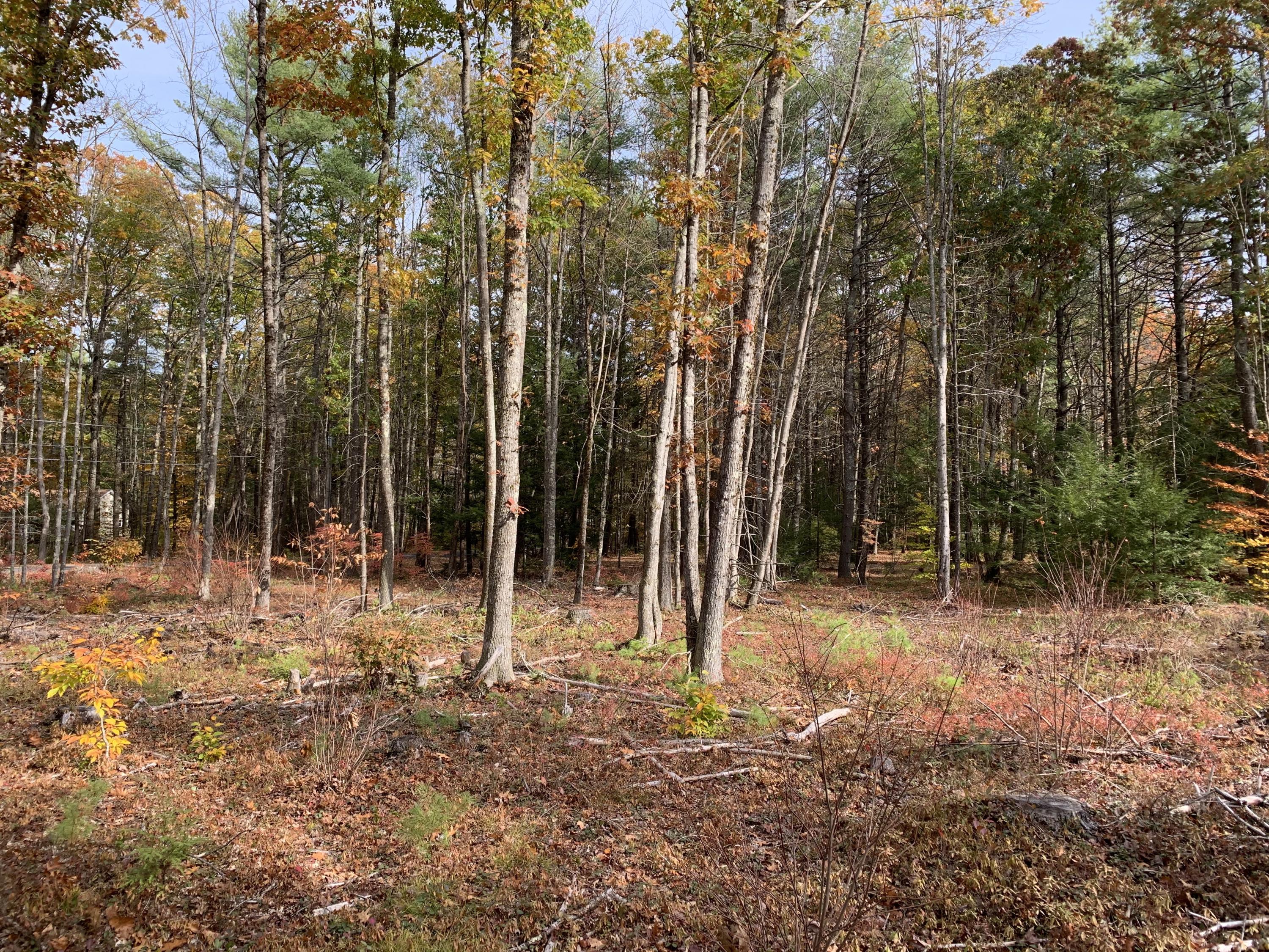 0 Wire Road Wells, ME 04090 - Photo 9 of 19 IMG_6976