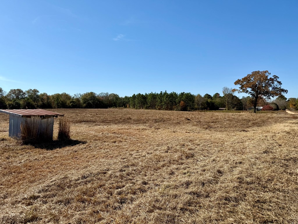 6.74-acres Huskey Road Dothan, AL 36303 - Photo 10 of 13