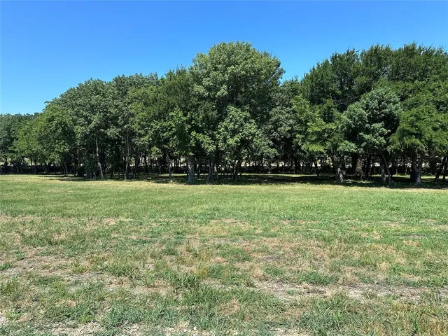 a view of a field with a tree in the background
