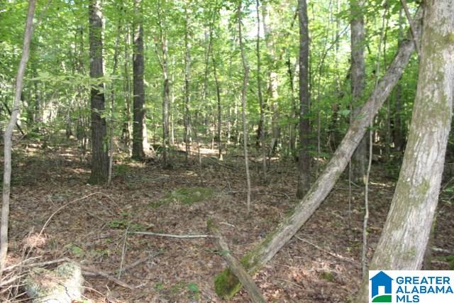 1 Benefield Gap Road Attalla, AL 35954 - Photo 21 of 50
