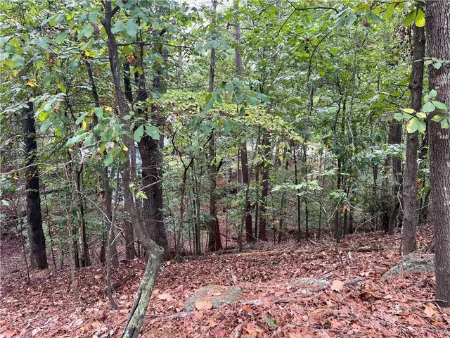 $149,000 | 0 Spyglass Bluff, Johns Creek, GA 30022