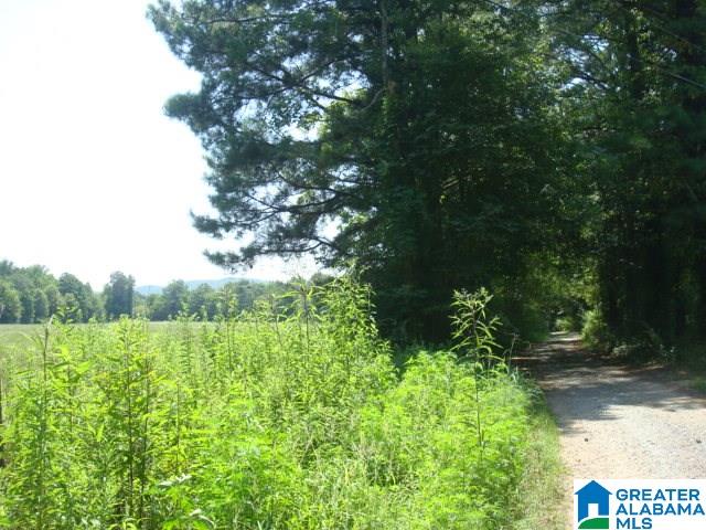 0 Dabbs Road, Unit 19 & 20 Oxford, AL 36203 - Photo 24 of 33